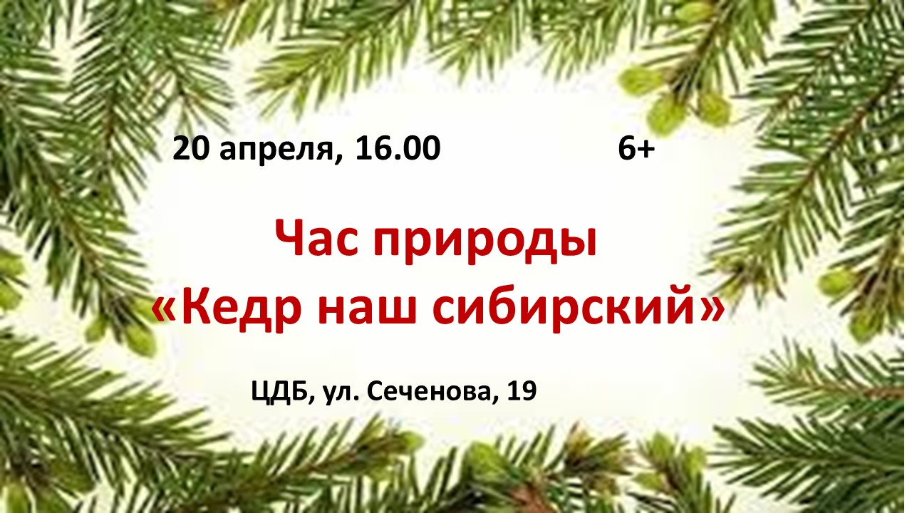 Час природы «Кедр наш сибирский» | 14.04.2023 | Новости Усолье-Сибирского -  БезФормата