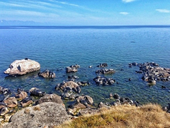 Самый большой остров Байкала?