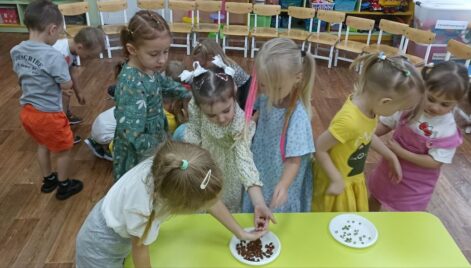 IMG_20251006_113433_935